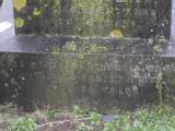 image of grave number 797250